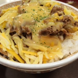 TPPが合意！牛丼が安くなるか真剣に考えてるところ♪