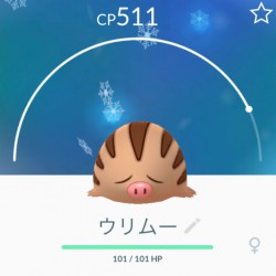 2月のポケGO