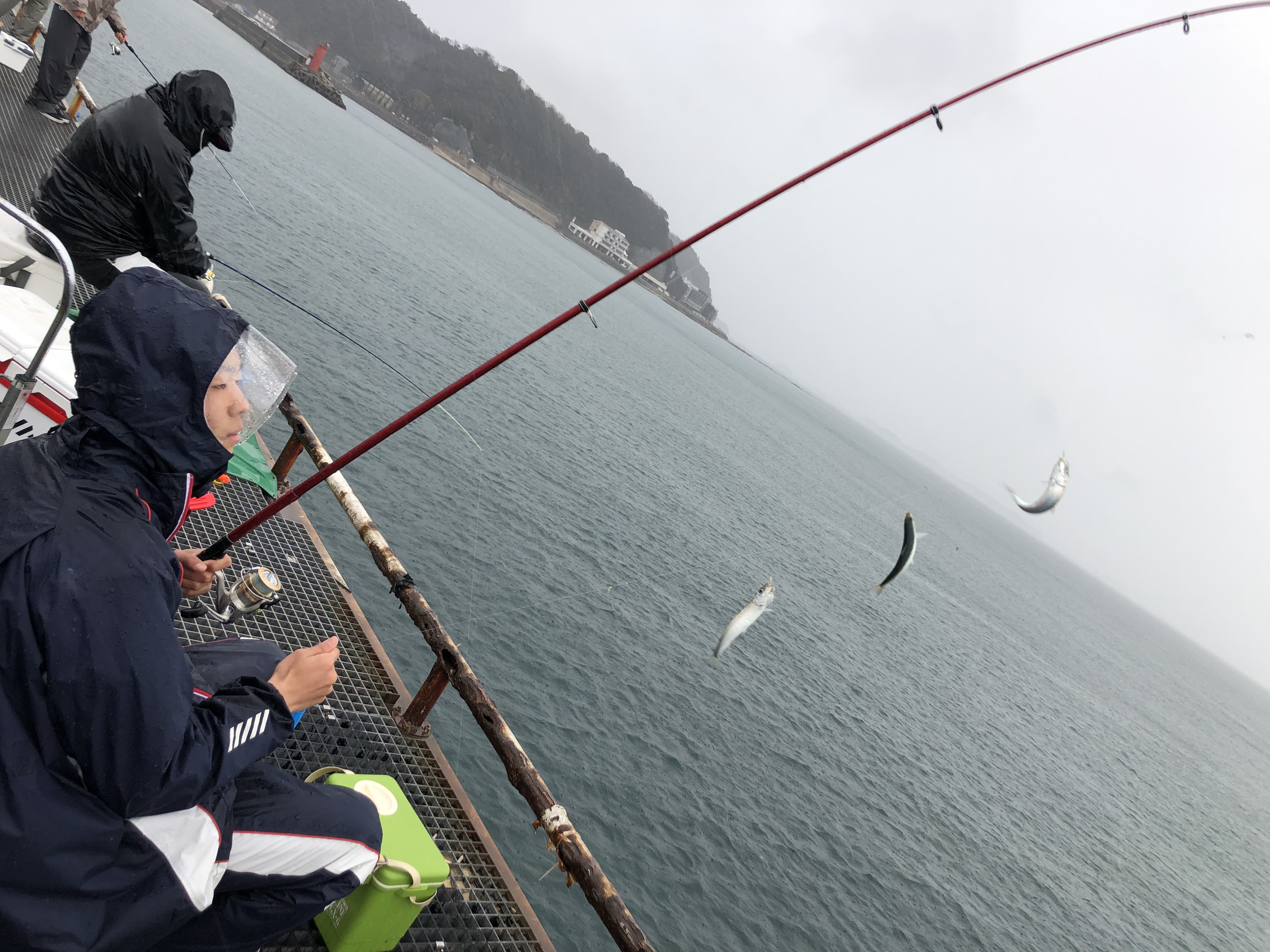 イワシ 豊浜 漁港 豊浜釣り桟橋の釣れる魚と時期の一覧表や釣り方、釣り禁止エリアなど詳しくご案内します。