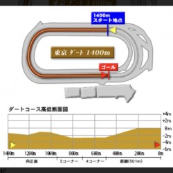 第35回根岸S予想