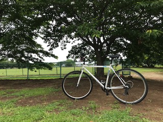 週末Ｒｕｎがジョグになって自転車もやりだした