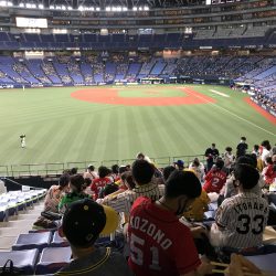 今年の夏のこと