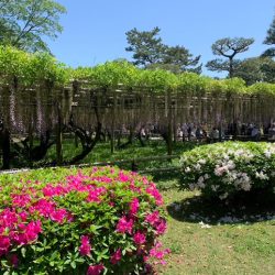 雨水浸透ますのメリットとデメリット！いつかは浸透しなくなる？