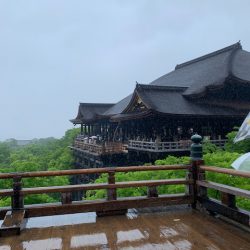 雨水浸透ますのメリットとデメリット！いつかは浸透しなくなる？