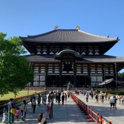 雨水浸透ますのメリットとデメリット！いつかは浸透しなくなる？