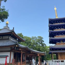 休日の過ごし方（お参り編）