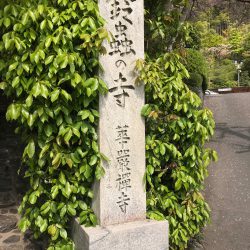 雨水浸透ますのメリットとデメリット！いつかは浸透しなくなる？