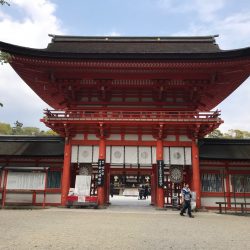 雨水浸透ますのメリットとデメリット！いつかは浸透しなくなる？