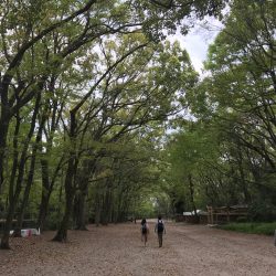 雨水浸透ますのメリットとデメリット！いつかは浸透しなくなる？