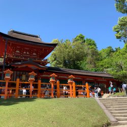 雨水浸透ますのメリットとデメリット!いつかは浸透しなくなる? 雨水浸透ますのメリットとデメリット!いつかは浸透しなくなる?